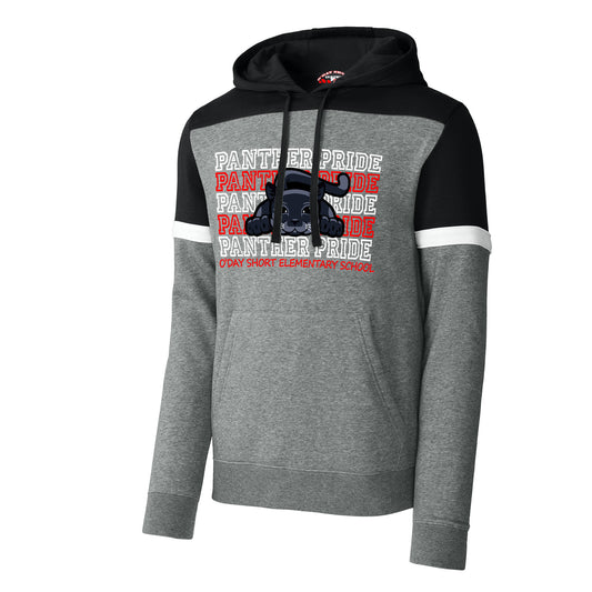 Panther Pride Colorblock Hoodie